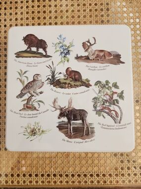 Hudson's Bay Company Metal Tin Wildlife 3D Embossed 9"X9"